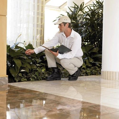 Pest Management