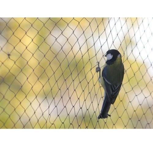 Bird Netting Service