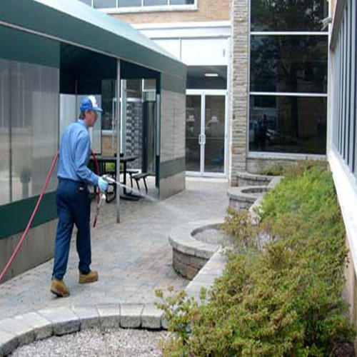 Industrial Pest Control