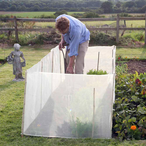 Organic Pest Control