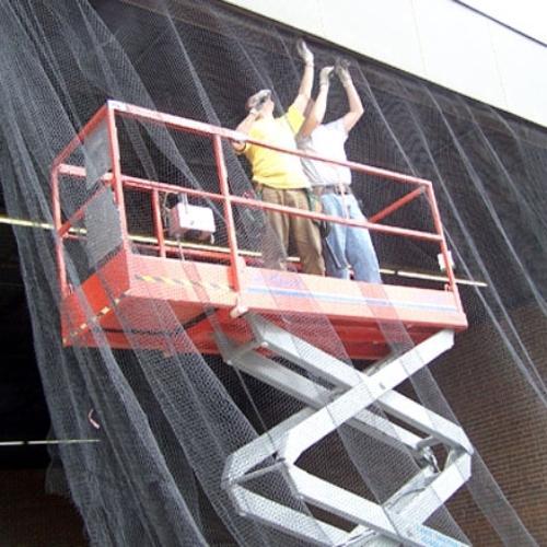 Bird Control Service