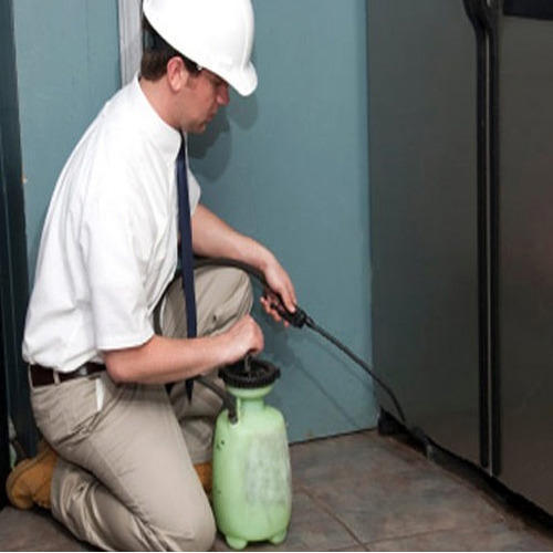 Herbal Pest Control