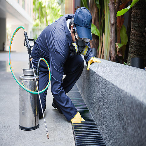 Pest Control Consultancy