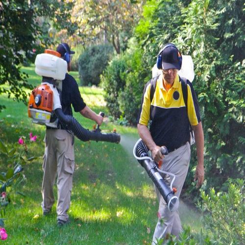 Outdoor Pest Control