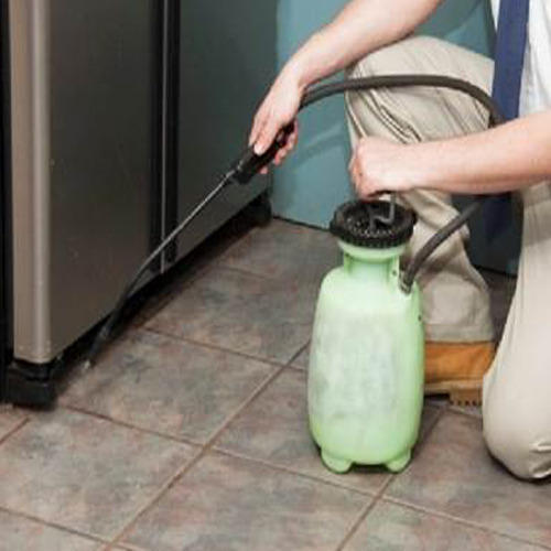 Pest Control Gel Treatment