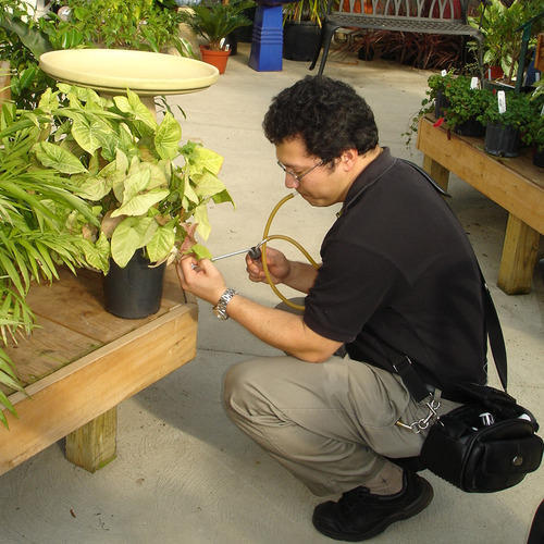 Biological Pest Control