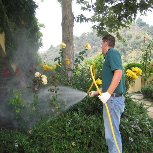 Plant Pest Control