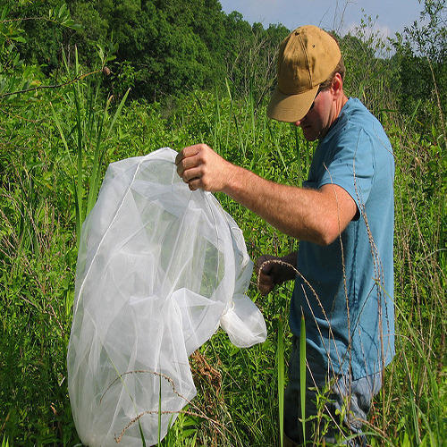 Eco Friendly Pest Control