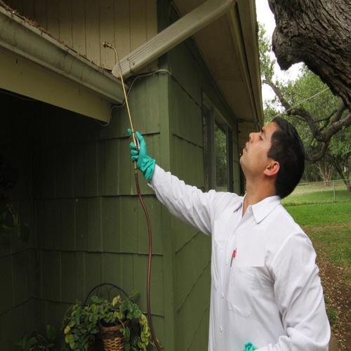 Centipede Control Service