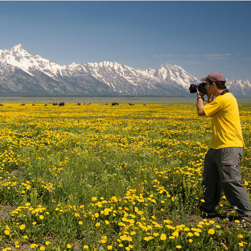 Outdoor Photography