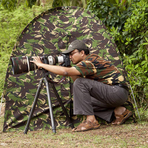 Wildlife Photography