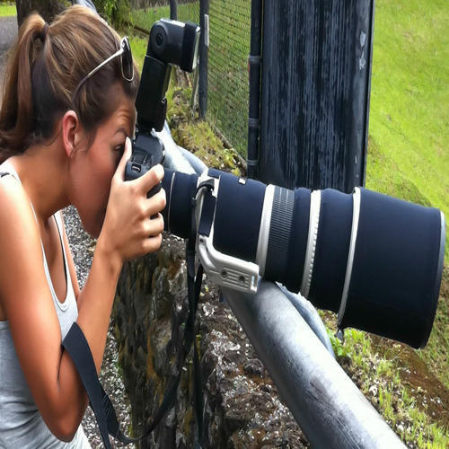 Nature Photography
