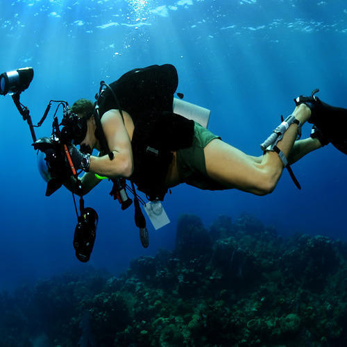 Underwater Photography Services
