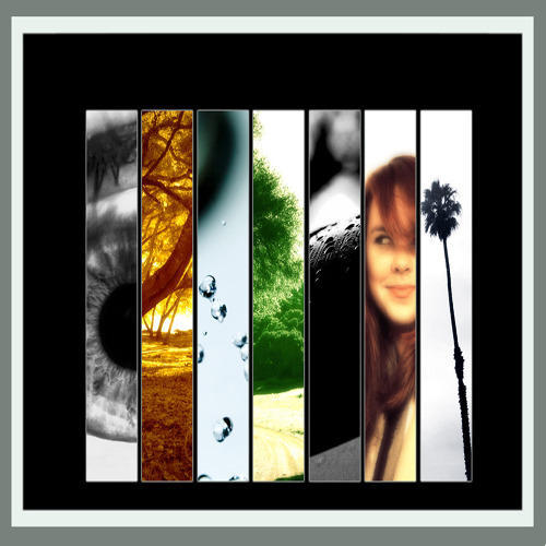 Art Portfolio