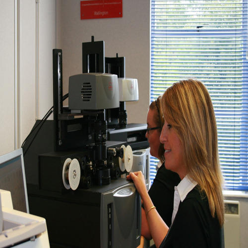 Film Scanning Services