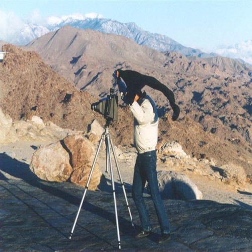 Large Format Photography