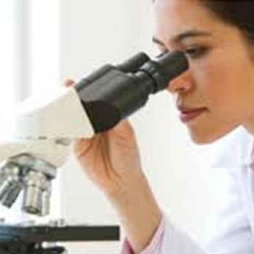 Minerals Testing Services