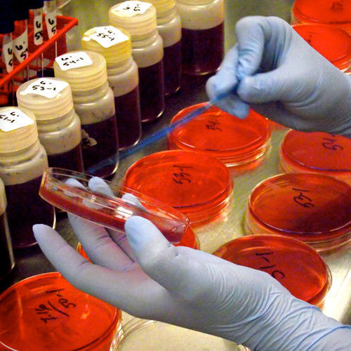 Food Testing Laboratory