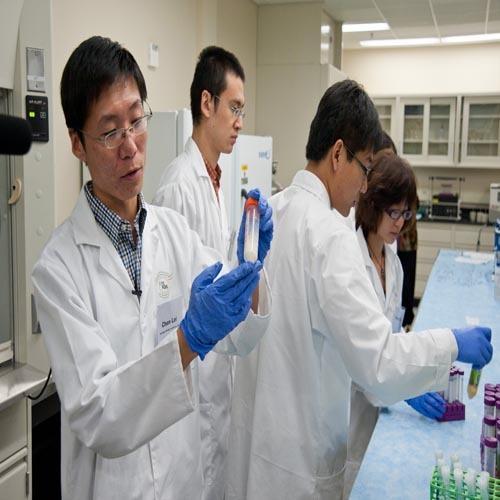 Milk Products Testing Services