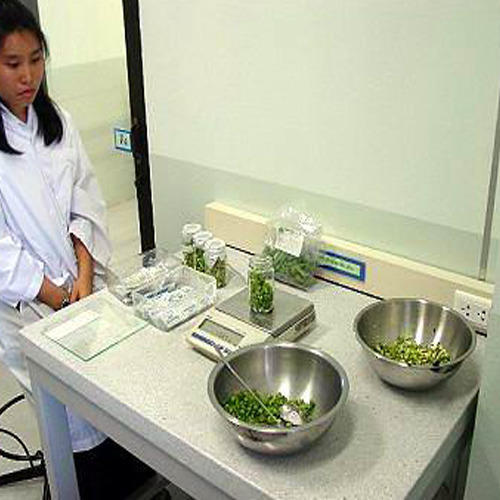 Pesticide Residues Testing Services