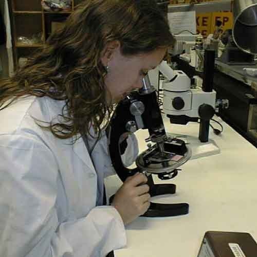 Textile Testing Service
