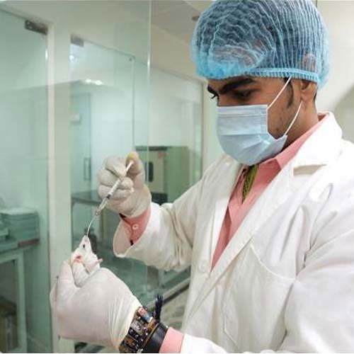 Acute Toxicity Studies
