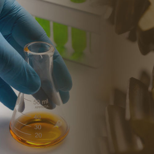 Lubricant Testing