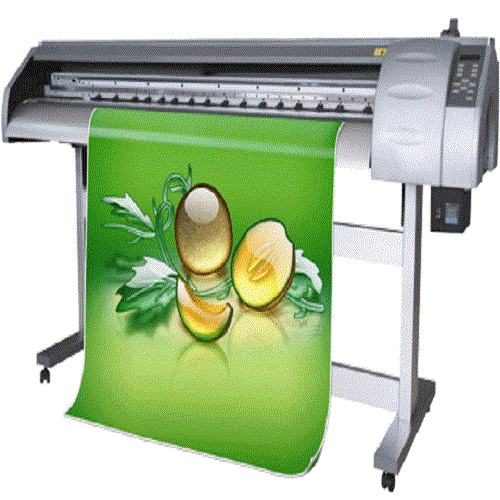 Backdrop Printing Service