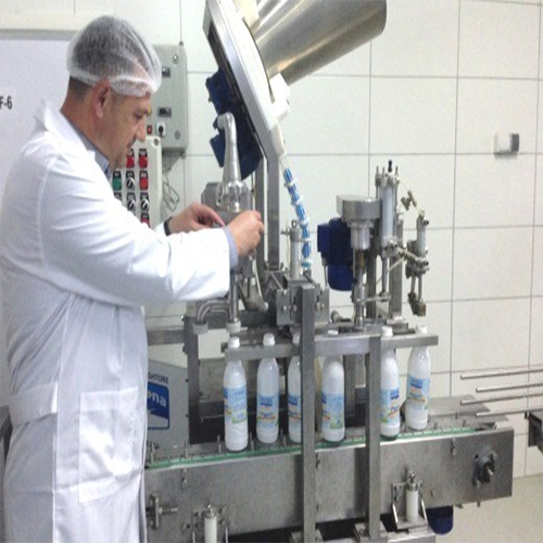 Product Catalog Processing Services