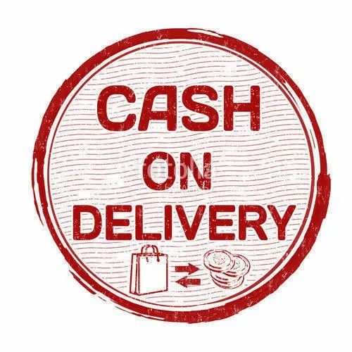 Cash Delivery Services