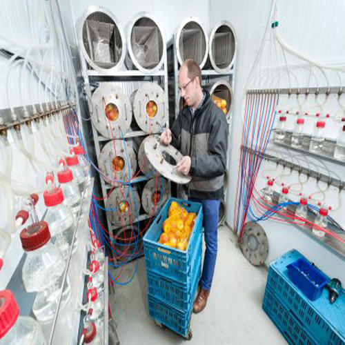 Controlled Atmosphere Storage