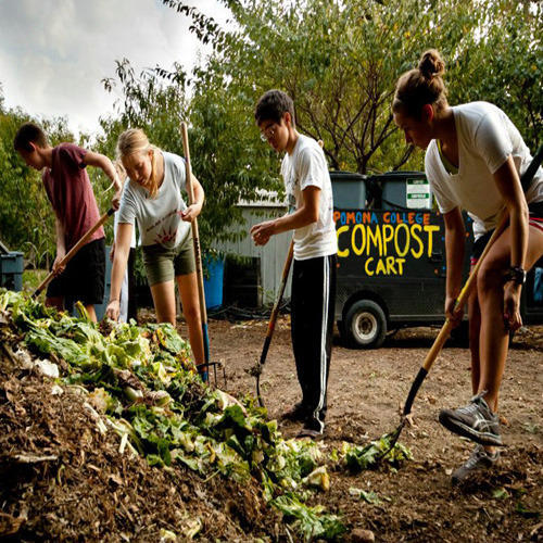Organic Waste Management Services