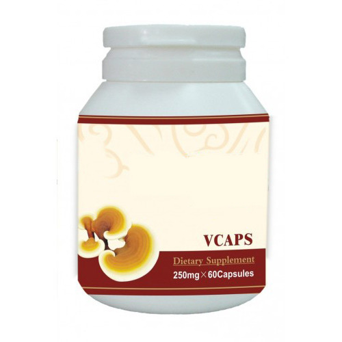 Ganoderma Capsule