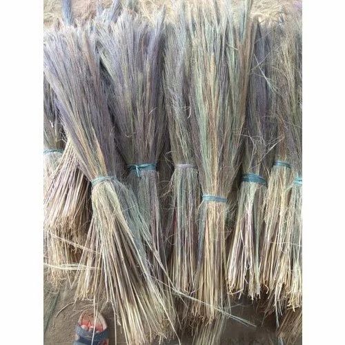 Broom Grass