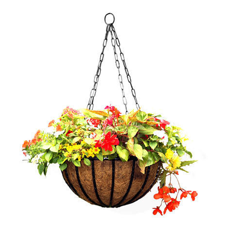 Hanging Baskets