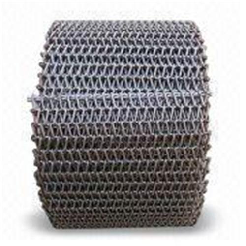 SS Wire Mesh Conveyor Belt