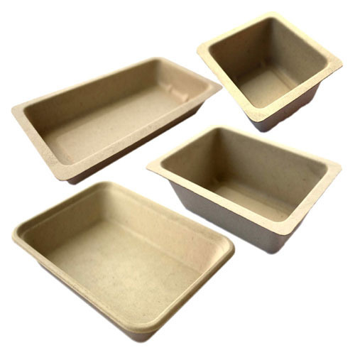 Molded Pulp Tray