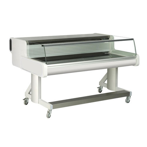 Fish Display Counter