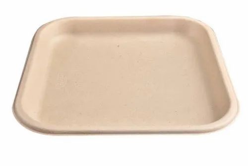Bagasse Disposable Plate