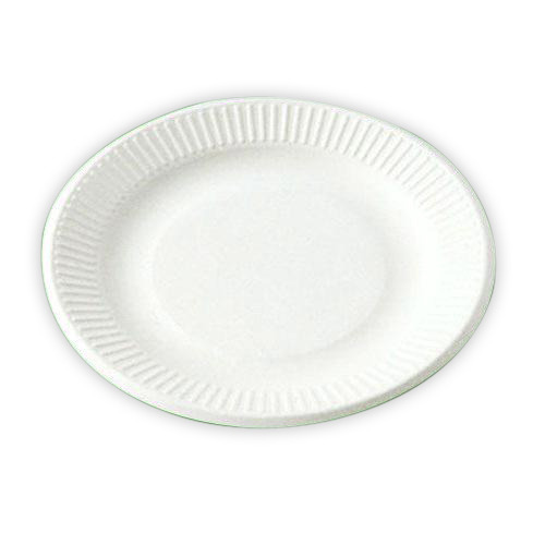 Biodegradable Paper Plate