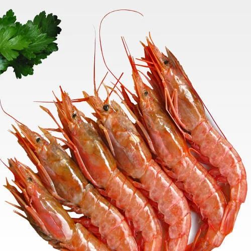 Shrimp