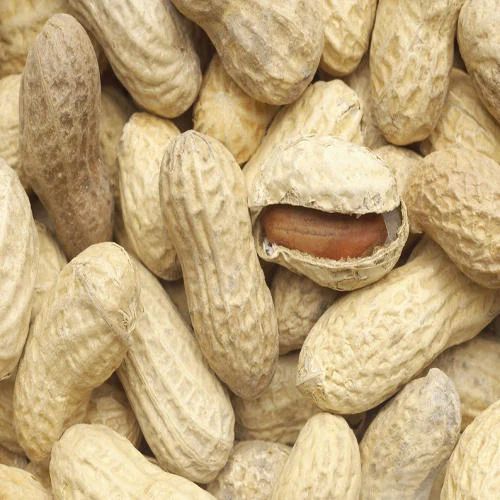 Peanut