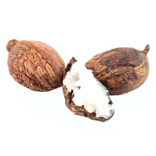 Shea Nut