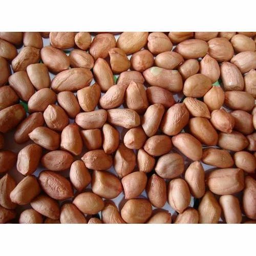 Groundnut Seeds