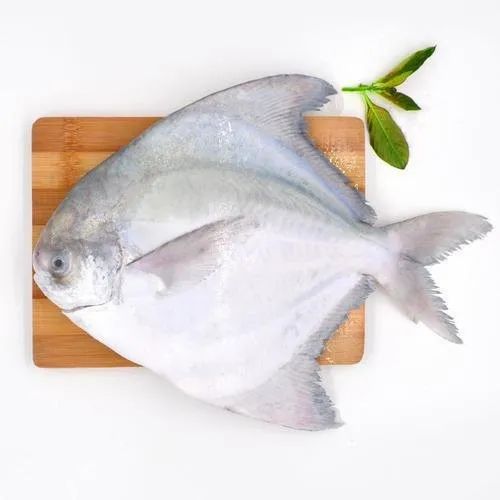 Frozen Pomfret