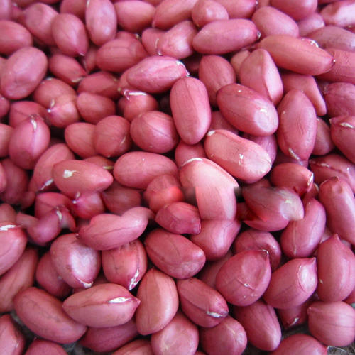 Peanut Kernel