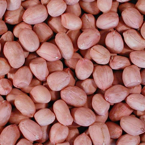 Raw Peanut Kernel