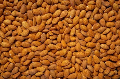 Almond Seed