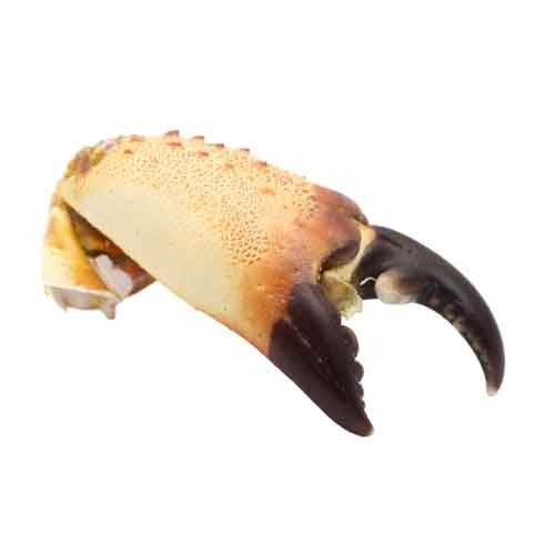 Crab Claw