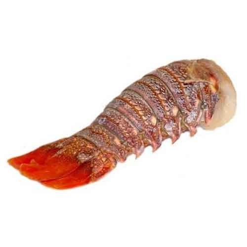 Lobster Tail